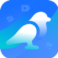 白鸟清理软件app安卓手机版v1.0