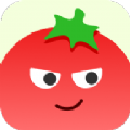 番茄相册大师软件安卓版v1.0