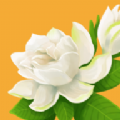 花开树下游戏安卓中文版v1.0.0